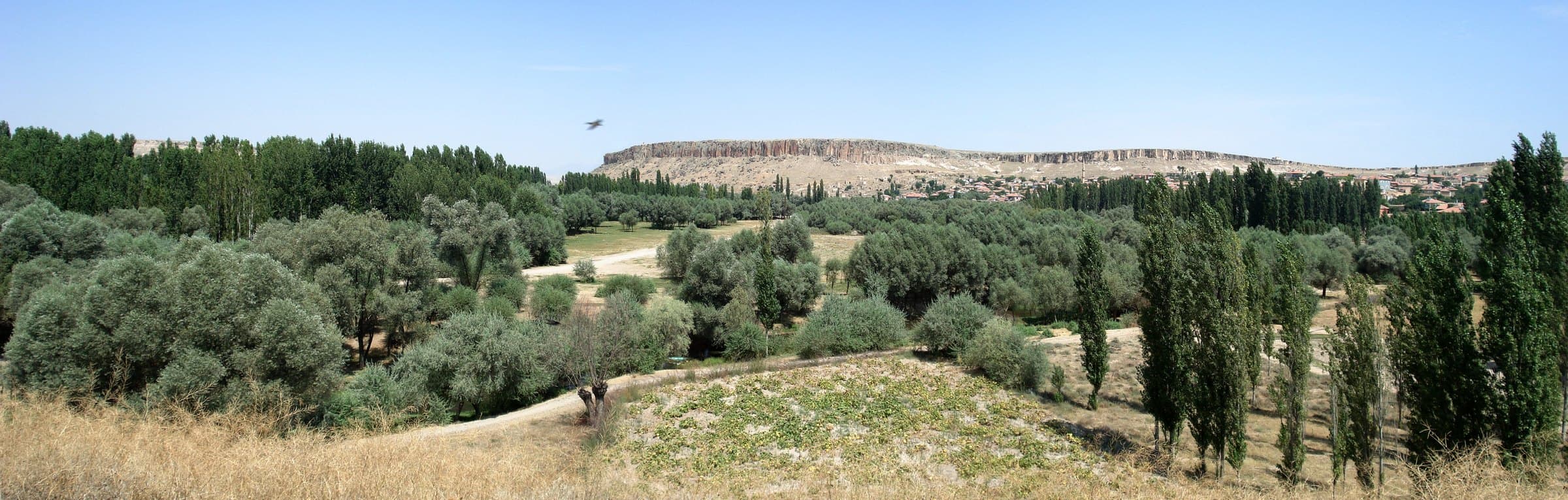 Das Melendiz-Tal vom Gipfel des Aşıklı Höyük aus; am Horizont ein Ignimbrit-Plateau mit säuliger Absonderung