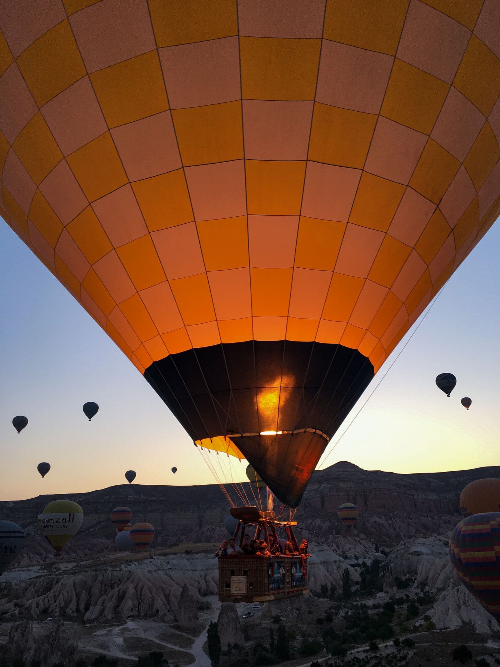 Balloons glowing against the dawn sky