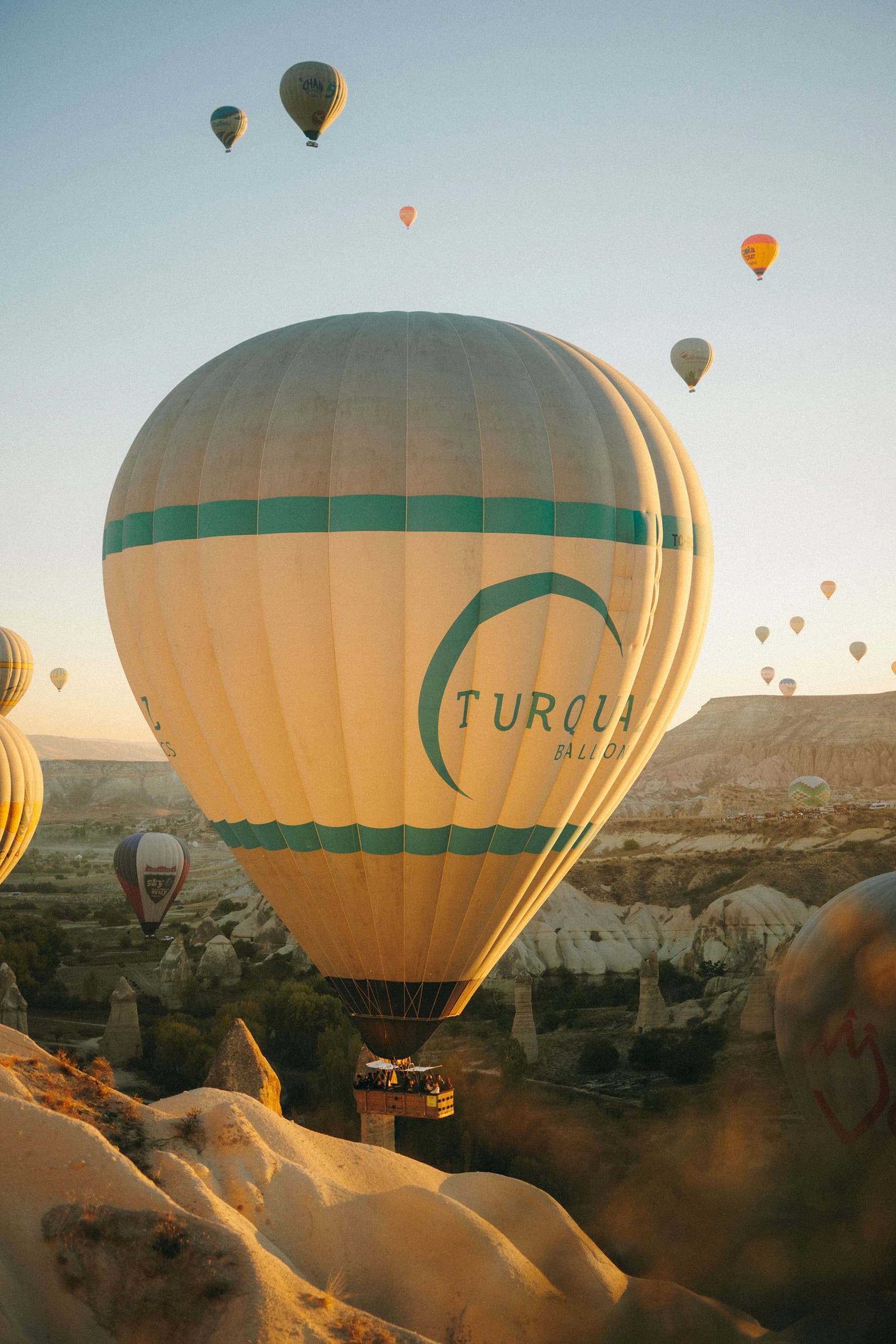 Mongolfiera di Turquaz Balloons