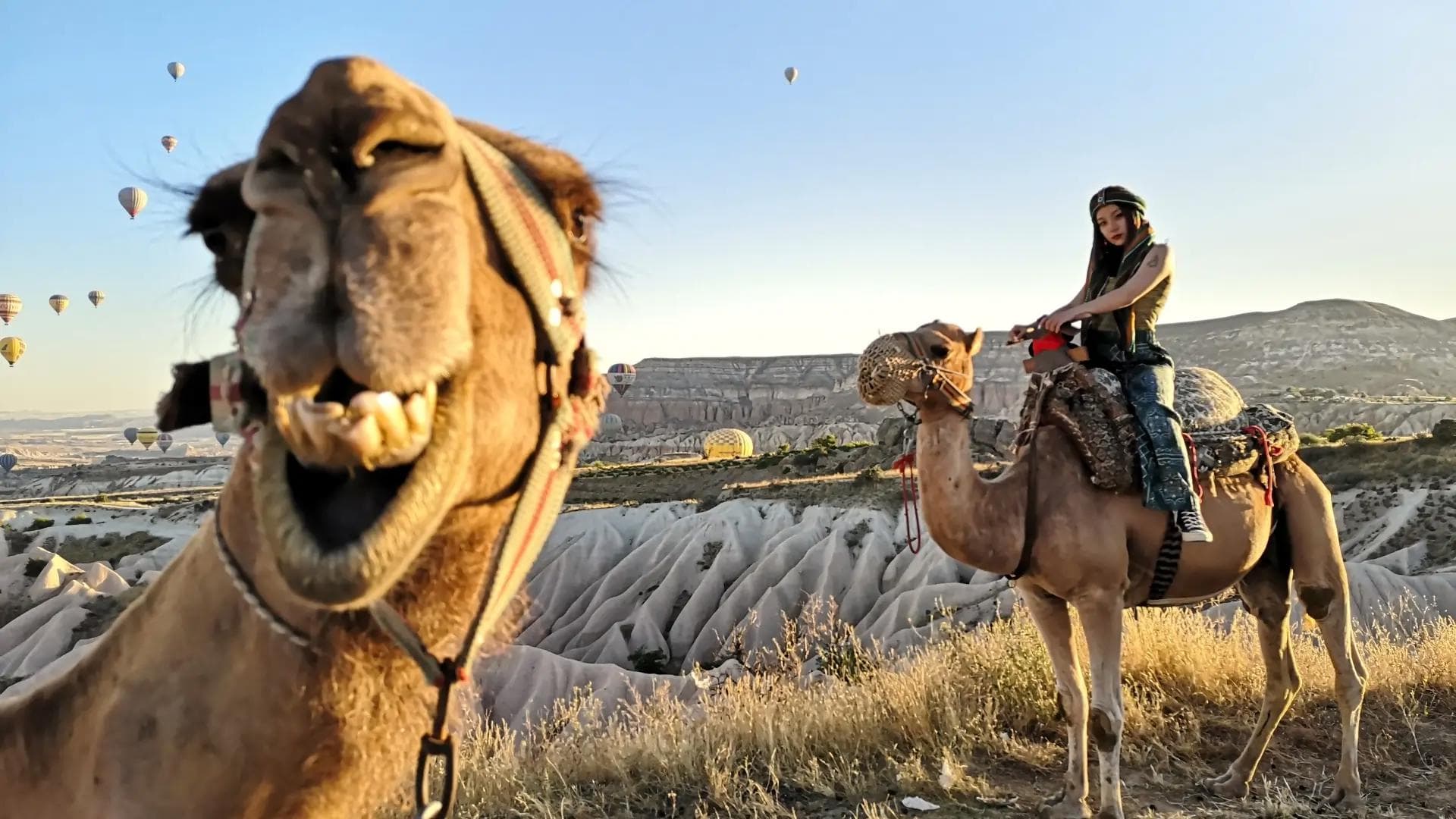Camel ride at sunrise with hot air balloons over Cappadocia
